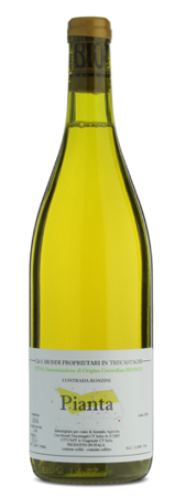 2022 Etna Bianco 'Pianta', Ciro Biondi